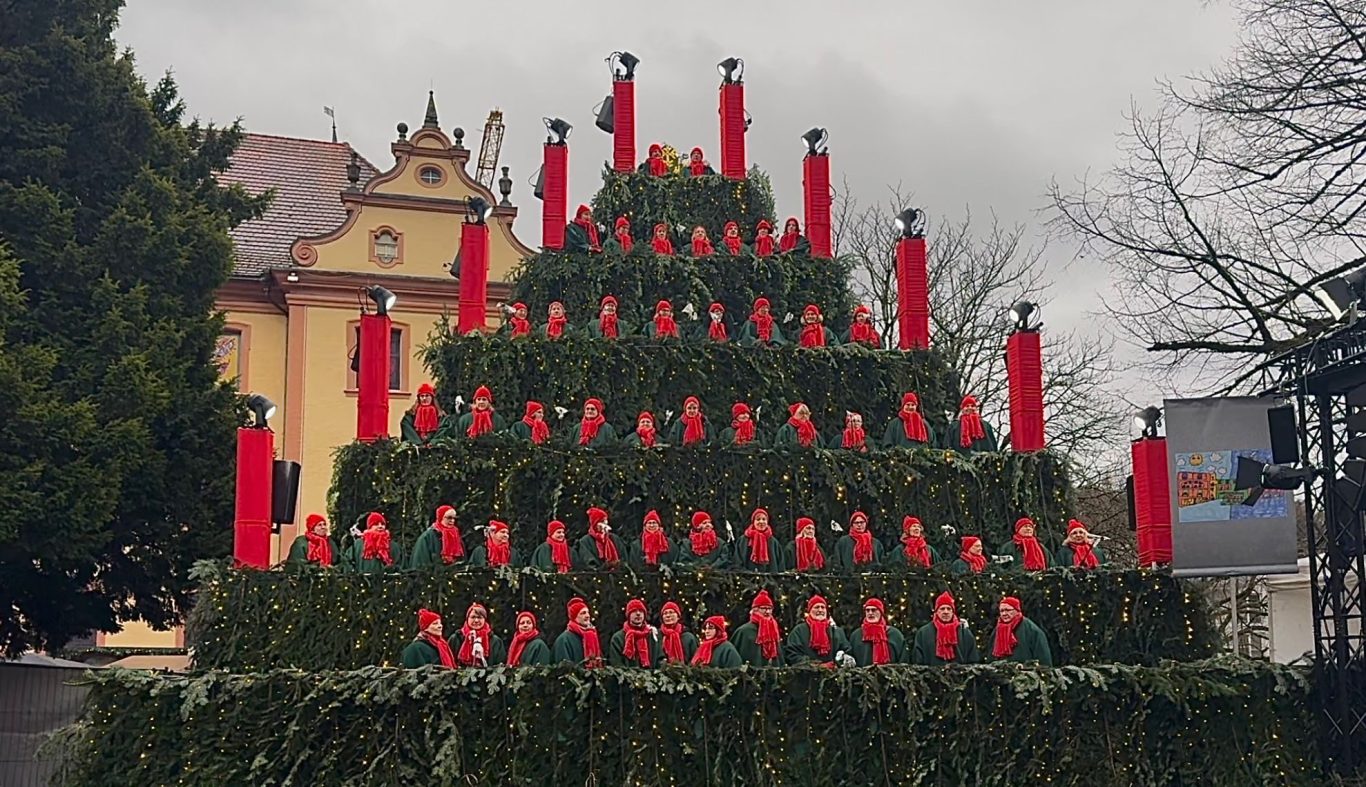 Ein Bild, das draußen, Baum, Himmel, Pflanze enthält.